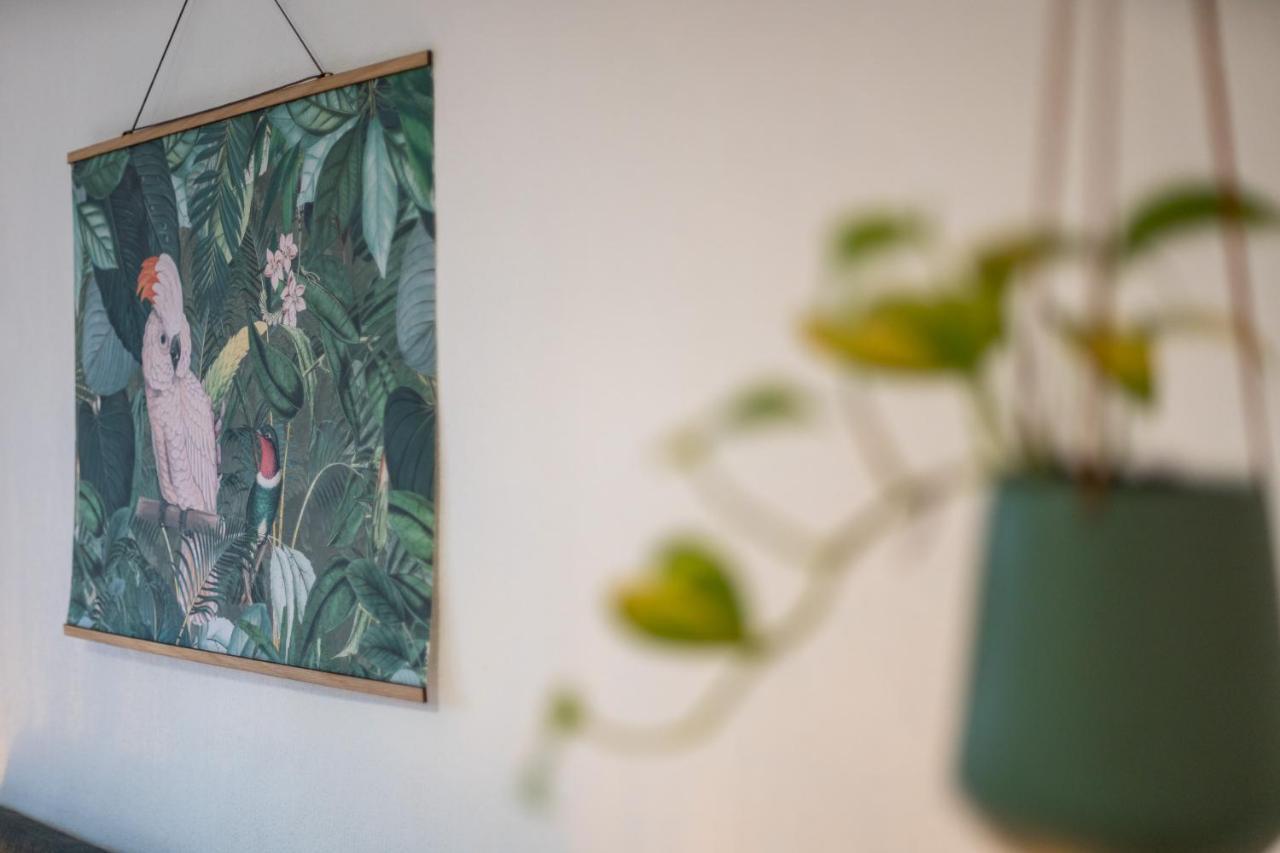 Kakadu - Zentral - Workplace - Gemeinschaftsterrasse, Snes Frankenberg an der Eder Dış mekan fotoğraf
